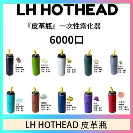 LH HOTHEAD皮革瓶電子煙可充電6000口一次性